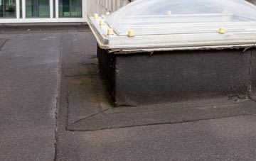 disadvantages of Pewsham flat roofs