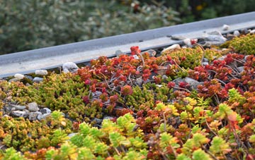 the cost of Pewsham green roof installation