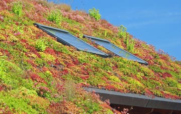 Pewsham living roof systems