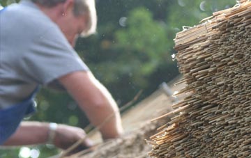 professional Pewsham thatchers