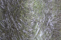 Pewsham fibreglass roof work